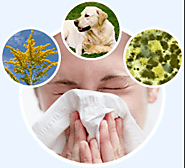 Suffering from Allergies? Try These Natural Antihistamines!