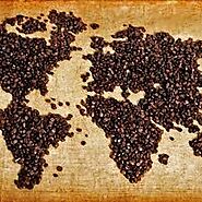 Buy the Best Coffee Beans Online