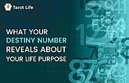 What Your Destiny Number Reveals About Your Life Purpose