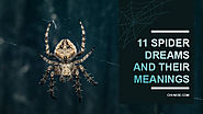 11 Spider Dreams & Their Meanings - Dream About Killing Spiders, White Spider, Lots of Spiders, Tarantula