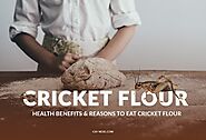 Cricket Flour: Health Benefits & Reasons to Eat Cricket Flour - A Nutritionally Rich Powder That Is Worth A Try!