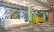 Create Striking Glass Displays with Attractive Window Film