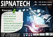 Best Data science training in Vijayawada - Sipnatech