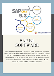 SAP B1 Software