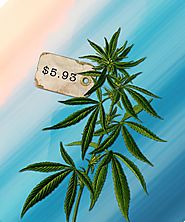 Curious why black market weed sells for a lower price than that of legal?