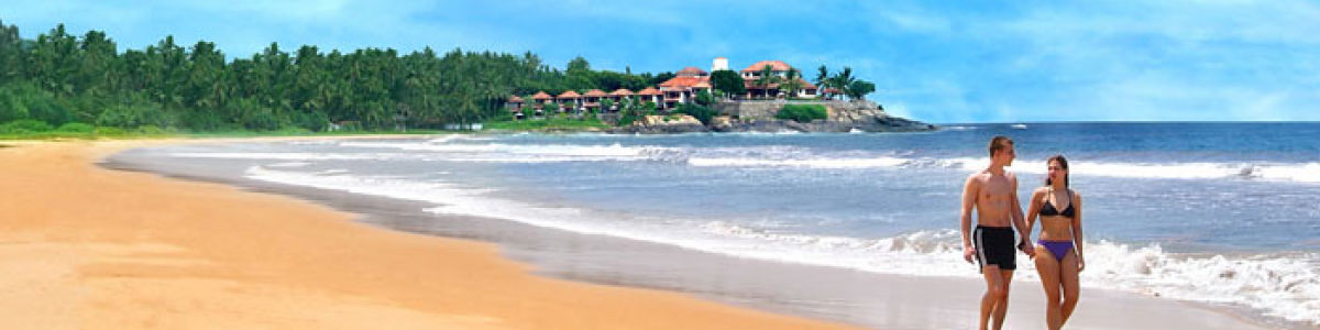 Headline for Top 5 attractions in the southern shores of Sri Lanka – for a marvelous time