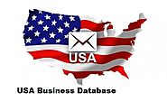 USA Business email list