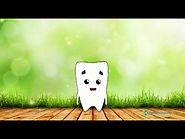 The Right Way to Brush - Kids Dentist - Carrum Downs Dental Group