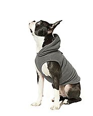 Gooby Every Day Fleece Cold Weather Dog Vest with Hoodie for Small Dogs, Gray, Medium