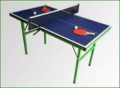 What are the key accessories for table tennis / DietKart Official Blog