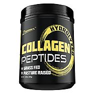 Hydrolyzed Collagen Peptides Powder | Grass Fed Non GMO Collagen Powder – ZAMMEX