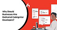 Strategic Advantages of Hiring Dedicated CodeIgniter Developers for Your Business