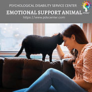 Emotional Support Letter