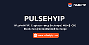 Best HYIP Script | Bitcoin Investment Script | Bitcoin Mining Script | Pulsehyip.com