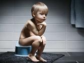 Toilet Training Tips When Using Normal Bathroom
