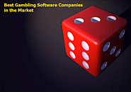 Best Gambling Software Companies in the Market