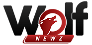 Entertainment news hindi tv serial - Wolf NewZ