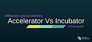 Identify The Basic Differences Between the Incubators and Accelerators in Australia!