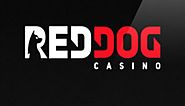 Best New USA Online Casinos - OnlineCasinoUSAGuide