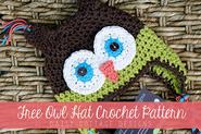 Free Owl Hat Crochet Pattern