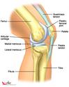 Tips to Help Prevent Knee Pain and Injuries