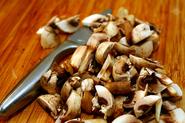 Find Out More about the Health Benefits of Eating Mushrooms