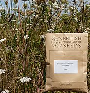 Special Meadow Mix | Wildflower Seed Packets | British Wildflower Seeds