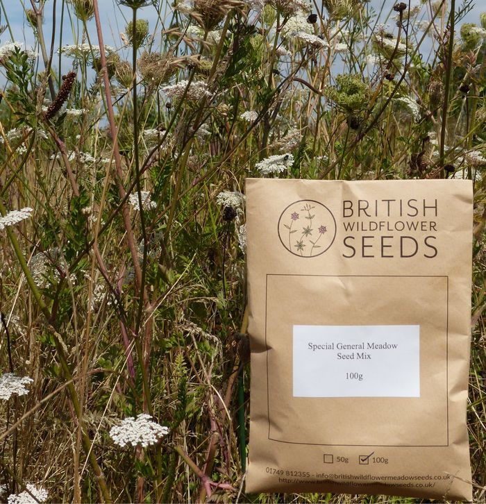 Best UK Wildflower and Meadow Seed Mixes To Buy A Listly List