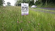 Road Verge Seed Mix | British Wildflower & Grass Seed | Habitat Aid