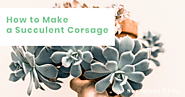 How to Make a Succulent Corsage | SucculentCity.com