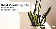 Best Grow Lights Reviewed by Succulent Lovers | SucculentCity.com