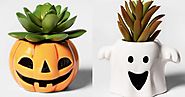 Target Is Selling A Whole Line Of Spooky Cute Halloween Succulents For $4 Or Less