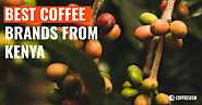 Best Coffee Brands from Kenya | Coffee Sesh