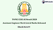 TNPSC CESE AE Result 2020: Agriculture & Architecture AE Oral Test Result & Merit List | Check Here