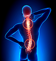 Website at https://www.physicalhealthcarejax.com/bothered-with-back-and-neck-pain-unleash-the-causes-and-ways-to-tack...