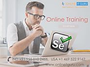 selenium certification online