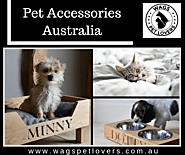 Tips To Find the Best Pet Accessories Australia | Posts by Eliseo Miller | Bloglovin’