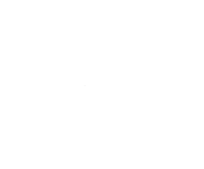 Root and Branch | Digital Marketing Services for Sustainable Growth
