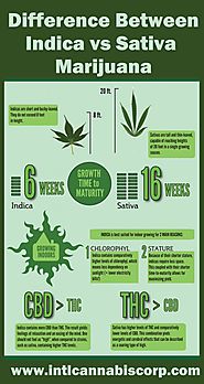 Difference Between Indica vs Sativa Marijuana