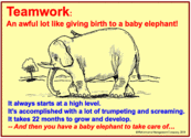Baby Elephants, Birthing and Teamwork, Effort and Improvement