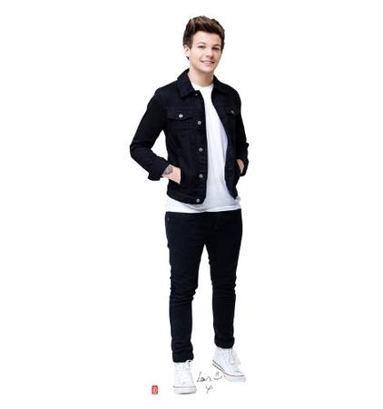 ♥♥ One Direction Life Size Cardboard Cutouts and Posters ♥ ...