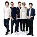 AG1D3 One Direction Group Cardboard Cutout