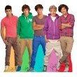 LOUIS TOMLINSON One Direction 1D Cardboard Cutout Standup Standee –