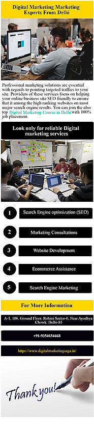 Digital Marketing Marketing Experts From Delhi Infographic Template
