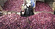 अब काटने नहीं प्याज खरीदने में निकलेंगे आंसू, इन हालातों ने बदला रंग - onion is not able to reach the market due to f...
