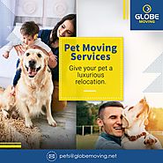 International Pet Moving & Relocation Services | Pet Shipping