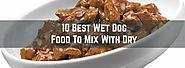10 Best Wet Dog Food to Mix With Dry - DOG n DOGS