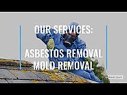 Mold Removal Services in Harrisburg PA