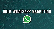whatsapp marketing company in jaipur|whatsapp marketing in jaipur