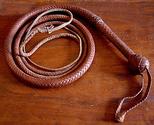 Bullwhip - ‘Indiana Jones’
